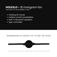 HOLEXLO 3D Holographic Display